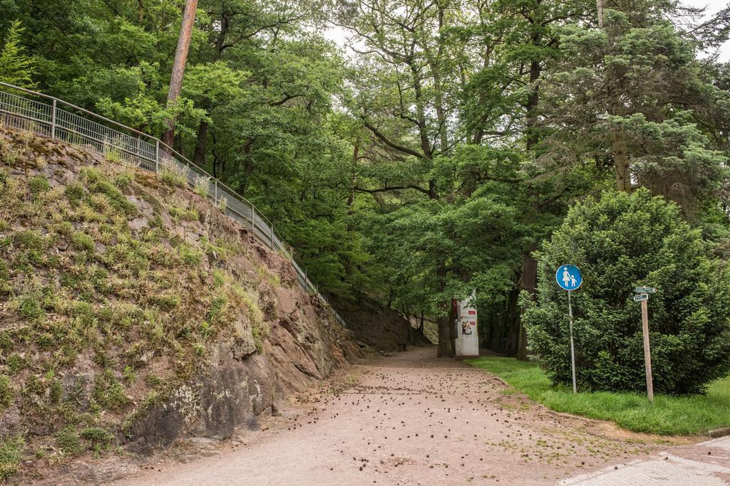 Loftwohnung Mit Sauna - Natur Und Kultur In Eisenach Erleben Und Geniessen Zewnętrze zdjęcie
